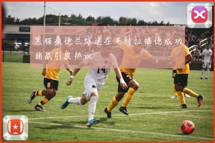 黑猫桑德兰球迷在老特拉福德成功捕鼠引发热议